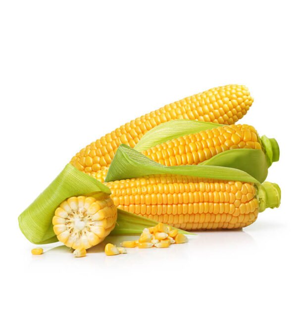 shop29-product-11-2 Product Image