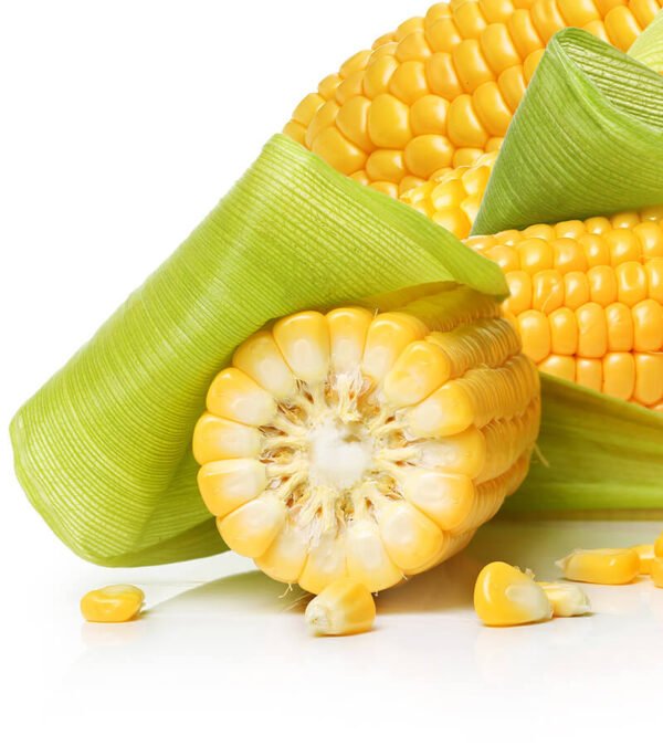 shop29-product-11-3 Product Image