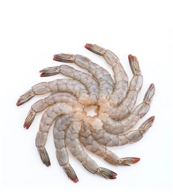 shop29-product-19-1 Product Image