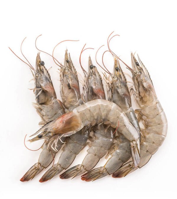 shop29-product-19-2 Product Image