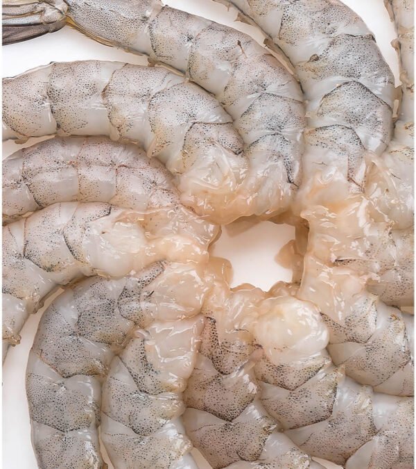 shop29-product-19-4 Product Image