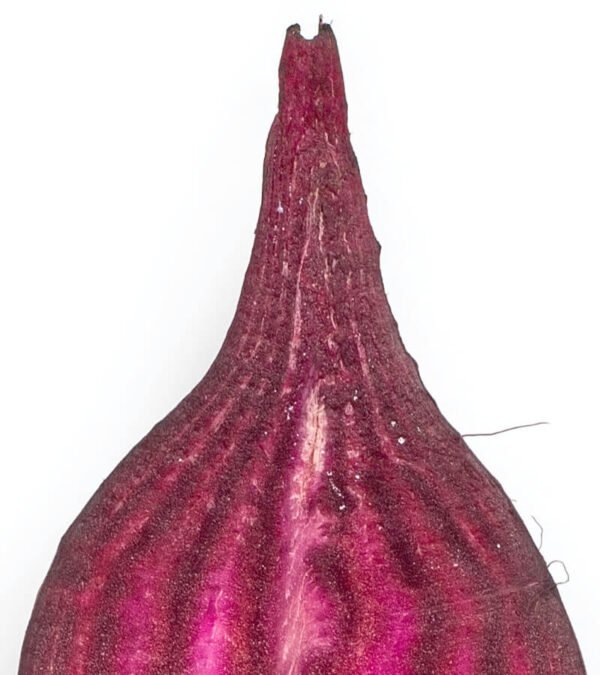 shop29-product-2-2 Product Image