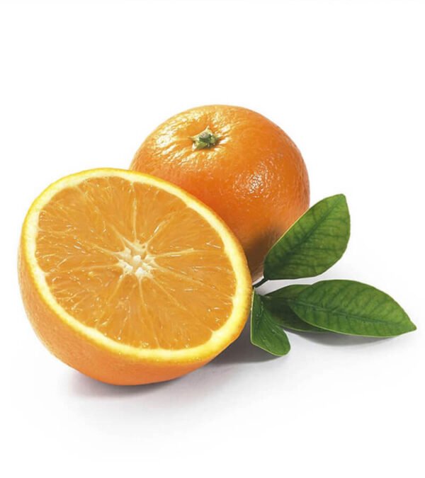 shop29-product-8-1 Product Image